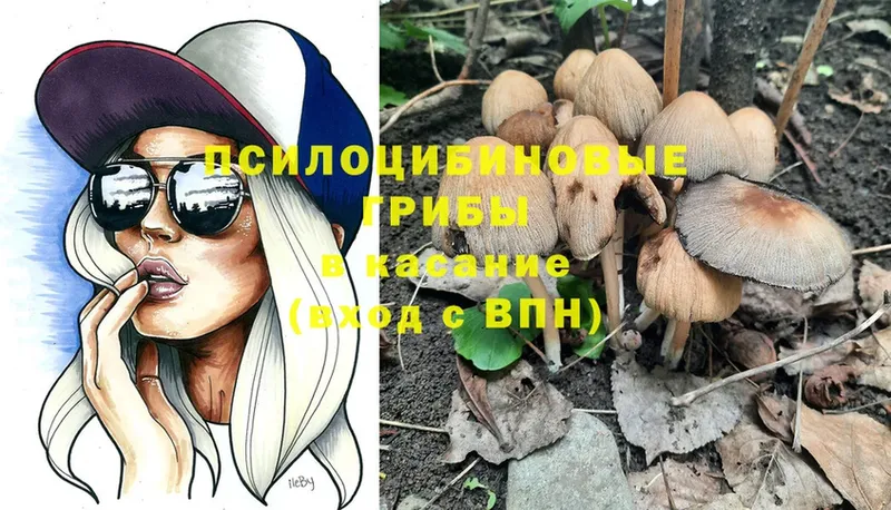 Галлюциногенные грибы Magic Shrooms  Салават 